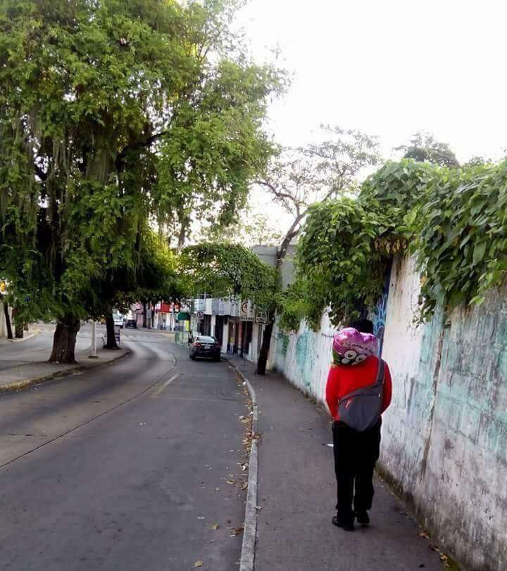 Bucin