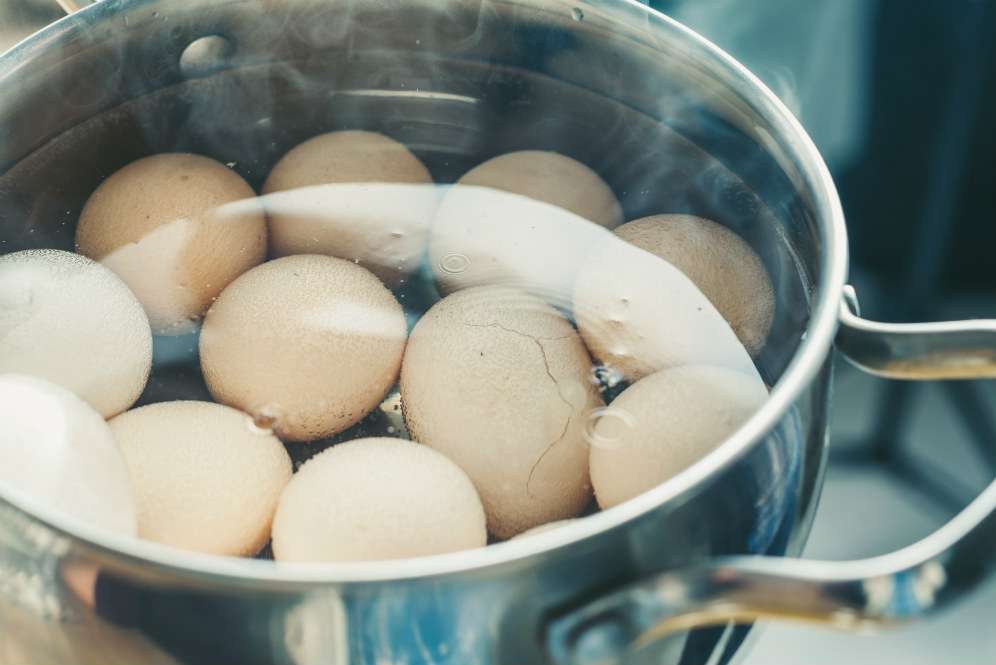 Telur