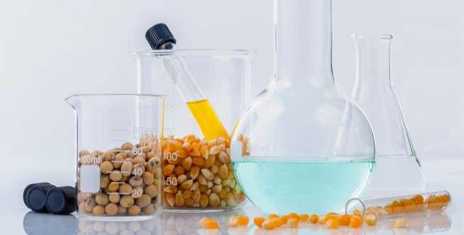 Gatal pada kulit dan biduran Gatal pada kulit dan biduran