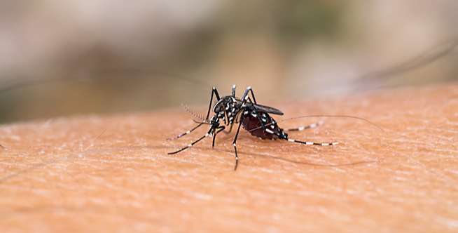 Gatal pada kulit dan biduran Gatal pada kulit dan biduran