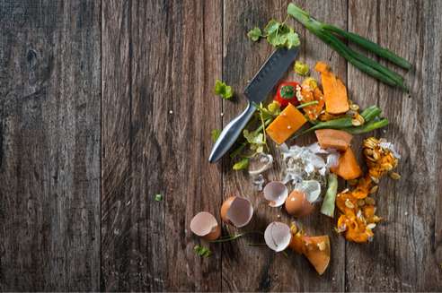 Daur Ulang Sampah Dapur