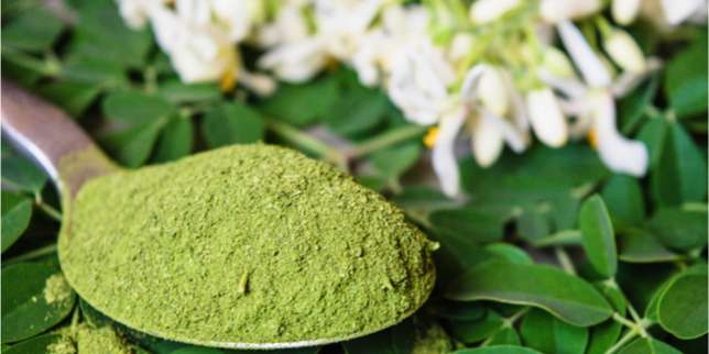 Manfaat Daun Kelor bagi Kesehatan