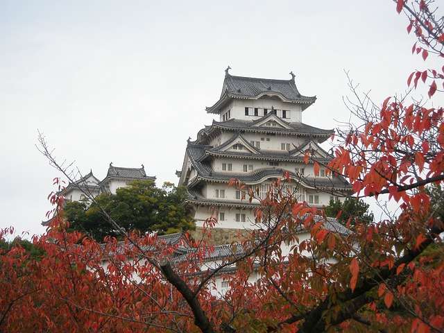 Destinasi Wisata Jepang yang Wajib Dikunjungi