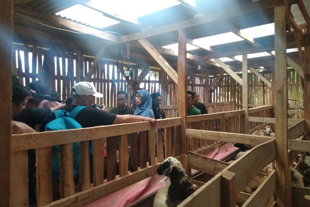 Kurban Dompet Dhuafa