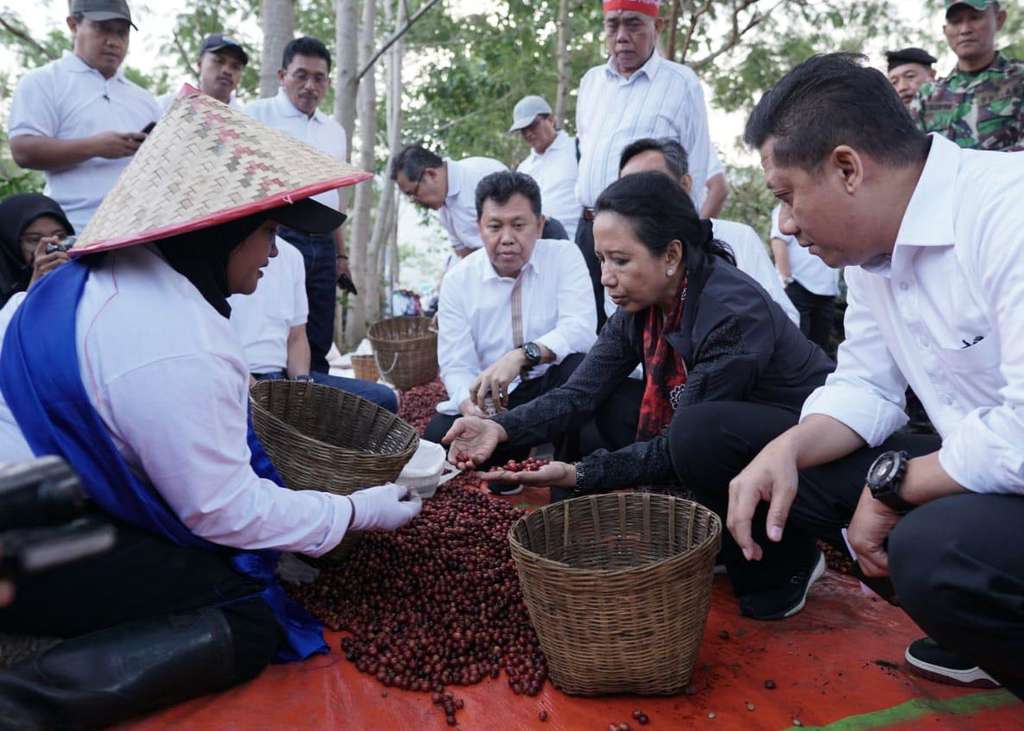 Menteri BUMN, Rini Soemarno, mengunjuni perkebunan kopi Kalisat Jampit milik PTPN XII (1) .
