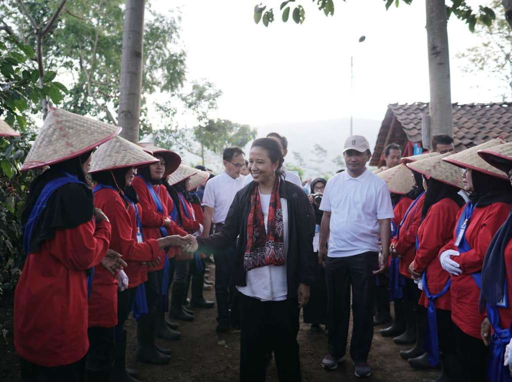 Menteri BUMN, Rini Soemarno, mengunjuni perkebunan kopi Kalisat Jampit milik PTPN XII (3) .