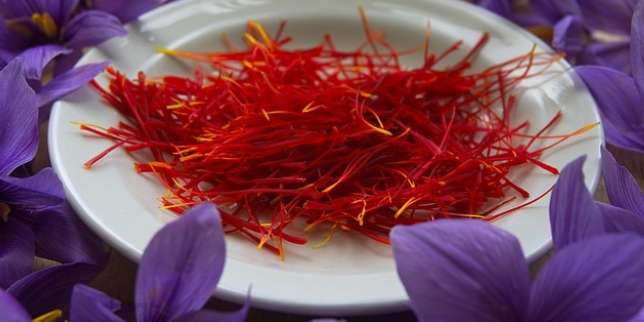 6 Manfaat Saffron bagi Kesehatan Tubuh, Bisa Mengatasi PMS loh