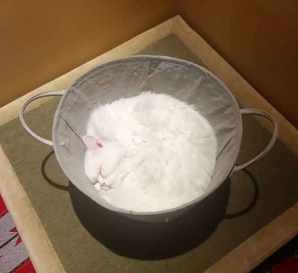 Makanan