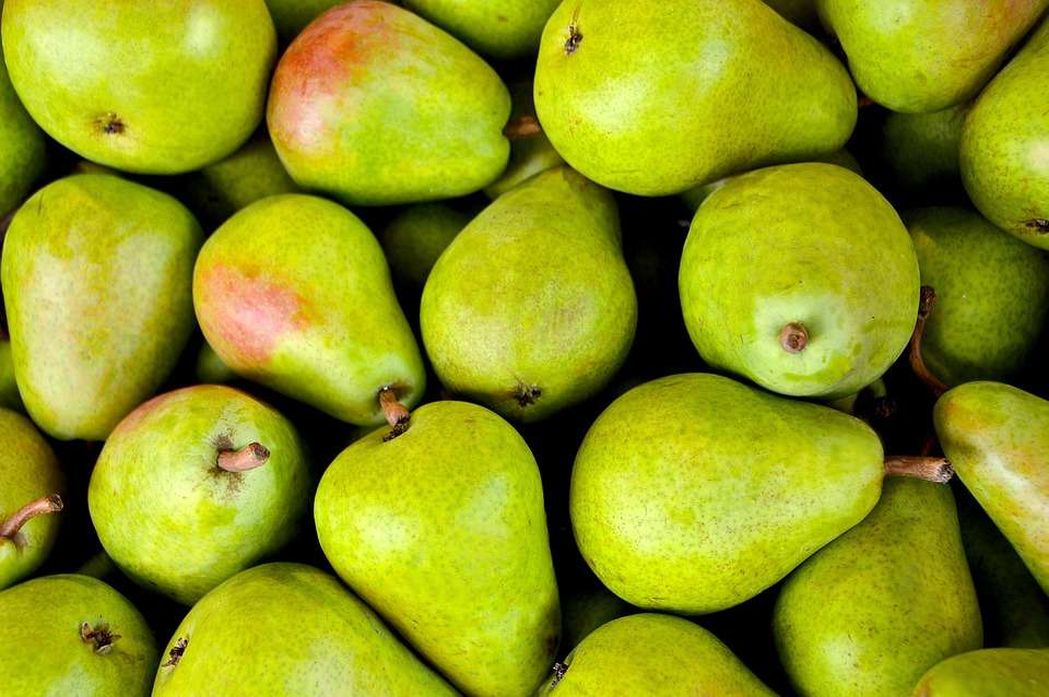 Buah Pir