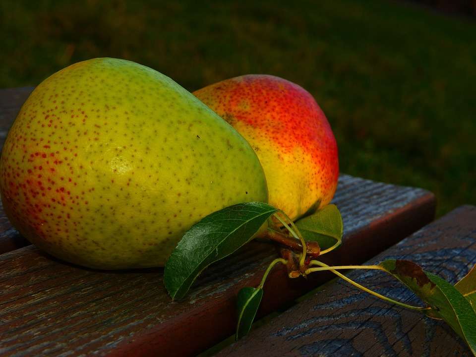 Buah Pir