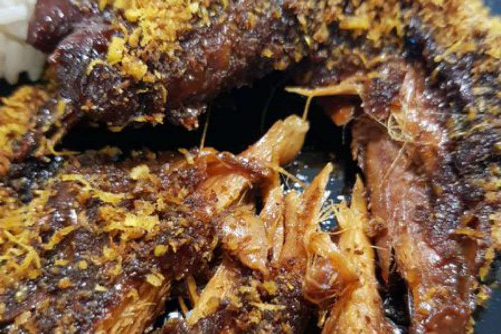 Ayam Gallo