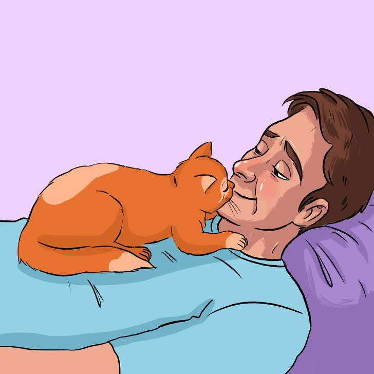 Kucing