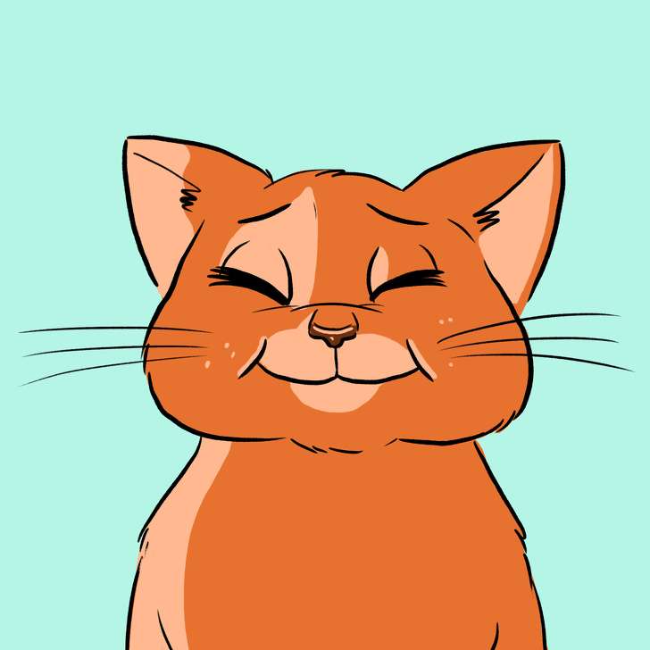 Kucing