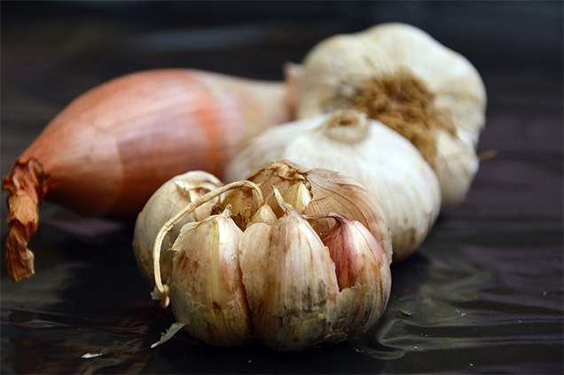 Cara Menghilangkan Kutil Secara Alami dengan Bawang Putih