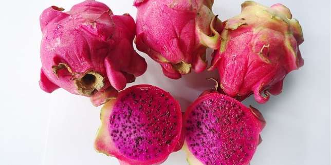 8 Manfaat Buah Naga Merah: Dari Mengatasi Batuk hingga Kanker