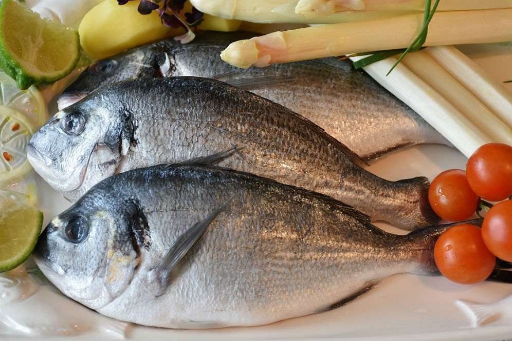 Ikan mentah