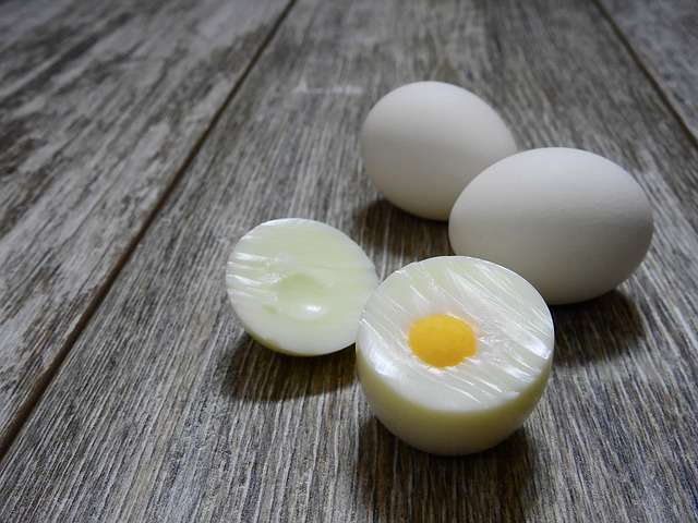 Telur