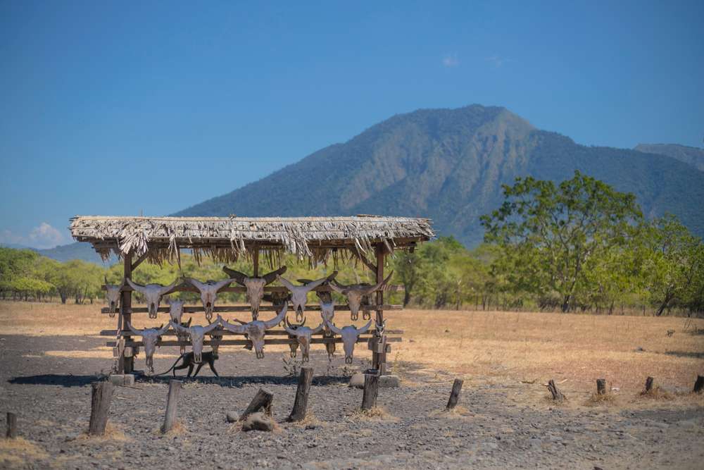 Traveling ke Banyuwangi? 5 Tempat Ini Wajib Banget Kamu Kunjungi
