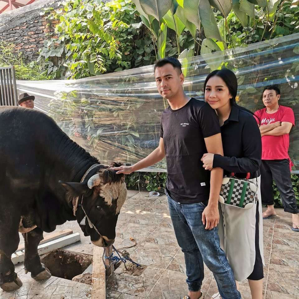 Raffi Ahmad