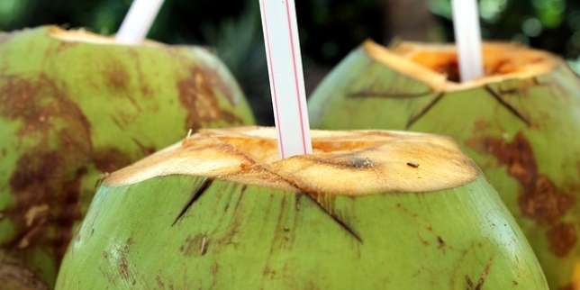5 Manfaat Air kelapa muda Muda bagi Kesehatan Tubuh