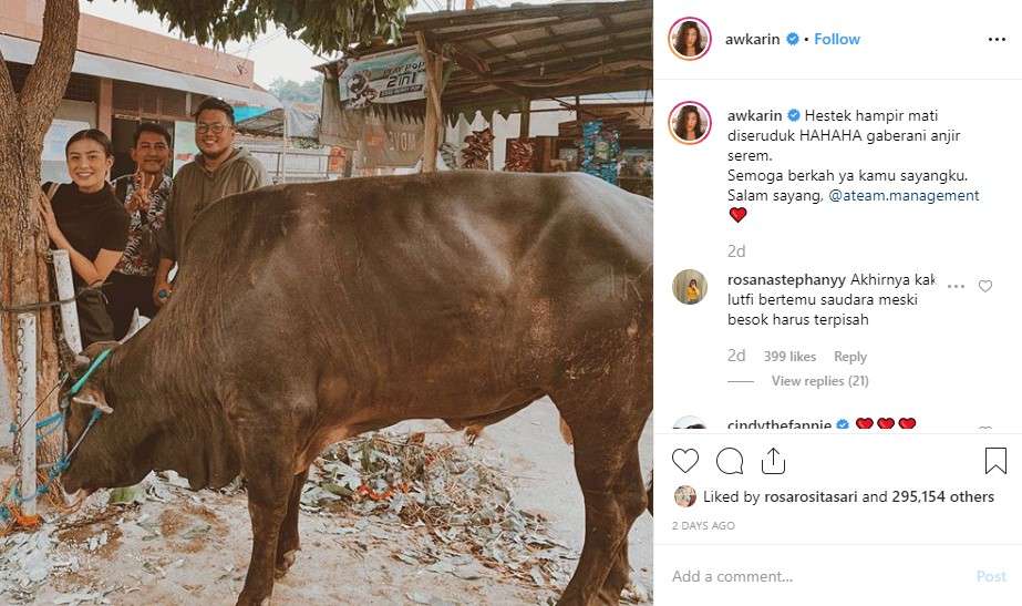 awkarin sapi
