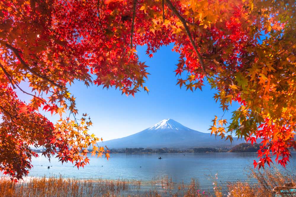 © Shutterstock © Shutterstock