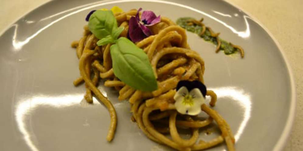 Pasta serangga