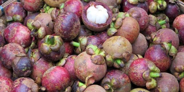 Cari Tahu Manfaat Buah Manggis yang Begitu Populer