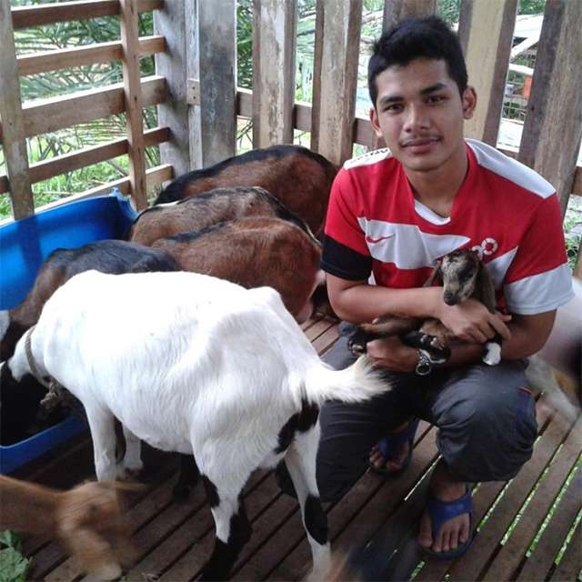 Afiq dengan kambing-kambingnya.