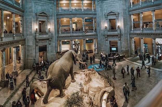 Deretan Museum Sejarah Alam Terbaik di Dunia, Yuk Kesini!