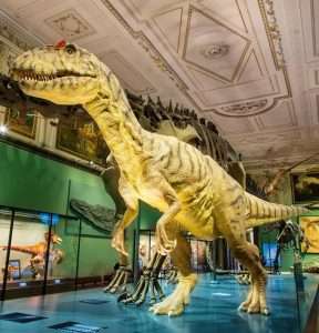 Deretan Museum Sejarah Alam Terbaik di Dunia, Yuk Kesini!