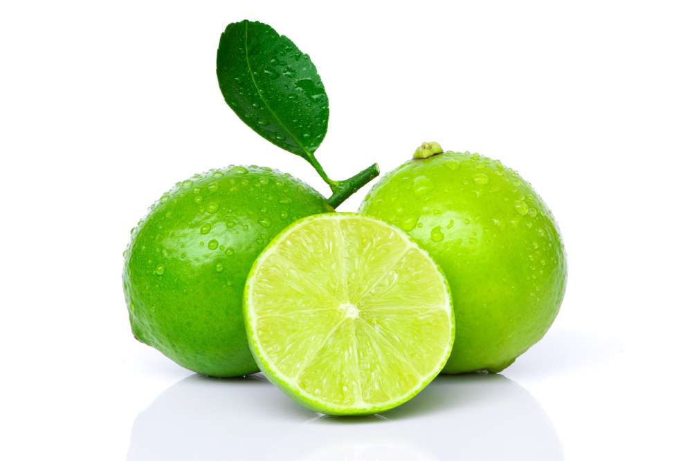 shutterstock
