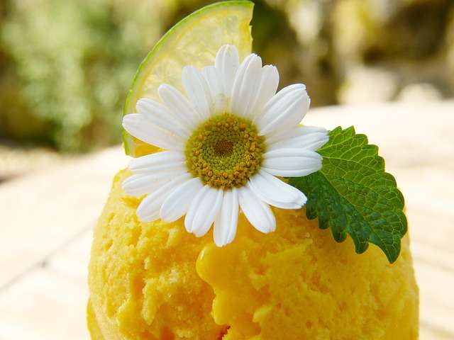 6 Cara Membuat Es Krim Buah yang Segar dan Mudah