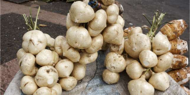 7 Cara Memutihkan Kulit Tangan secara Alami dan Mudah