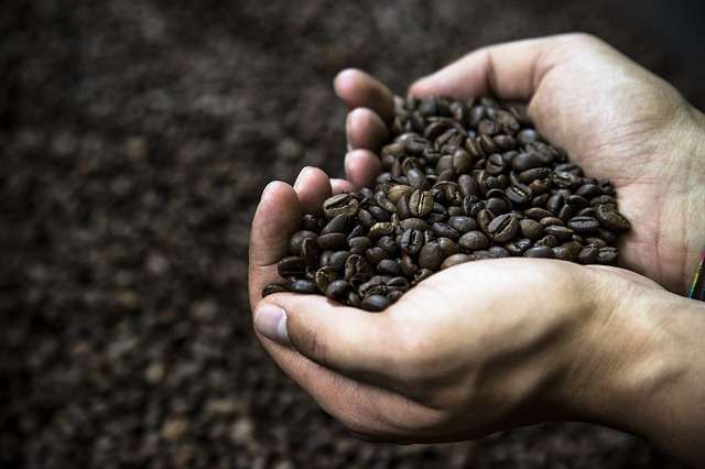 10 Jenis Kopi di Indonesia, Sangat Terkenal di Luar Negeri