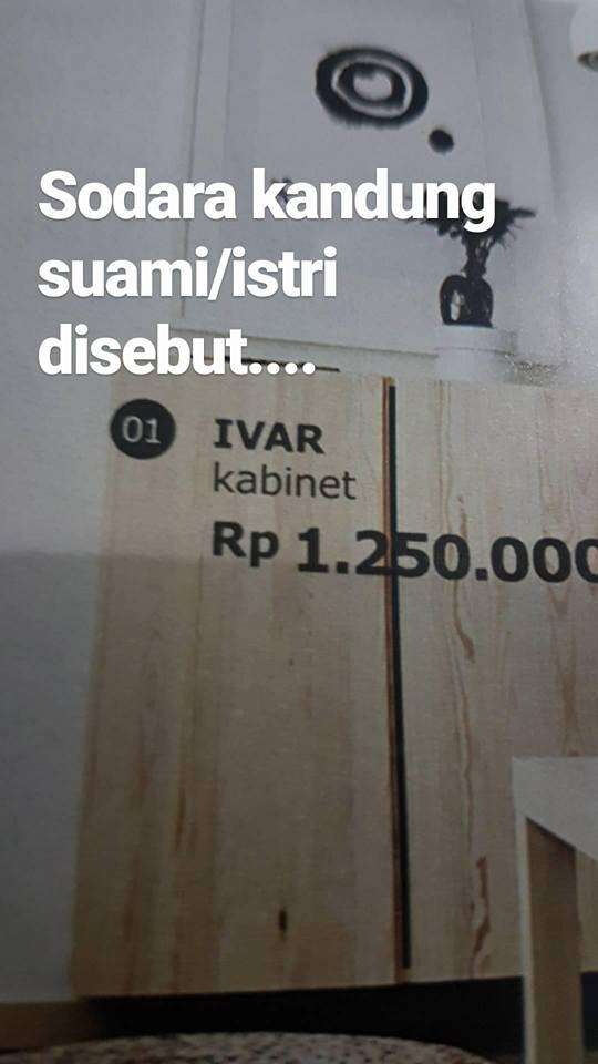 Plesetan