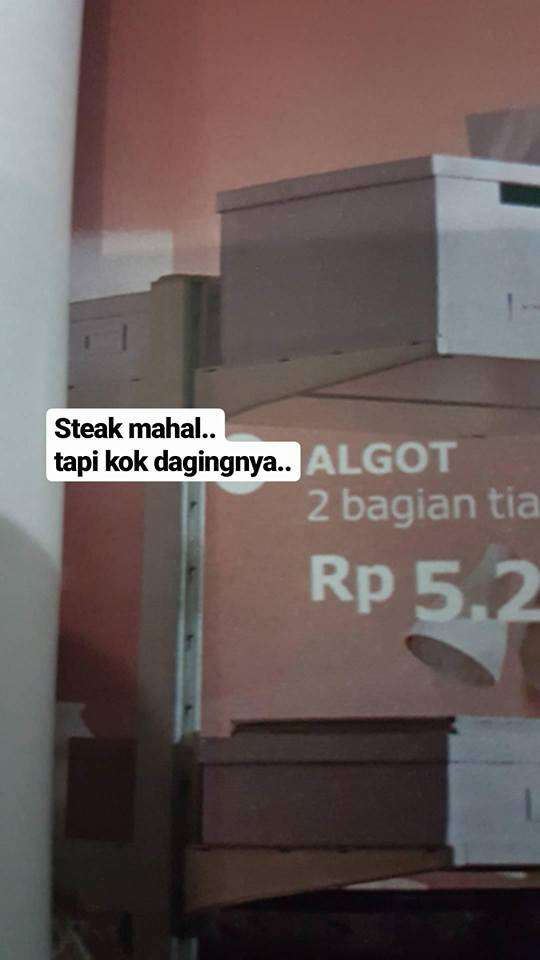 Plesetan