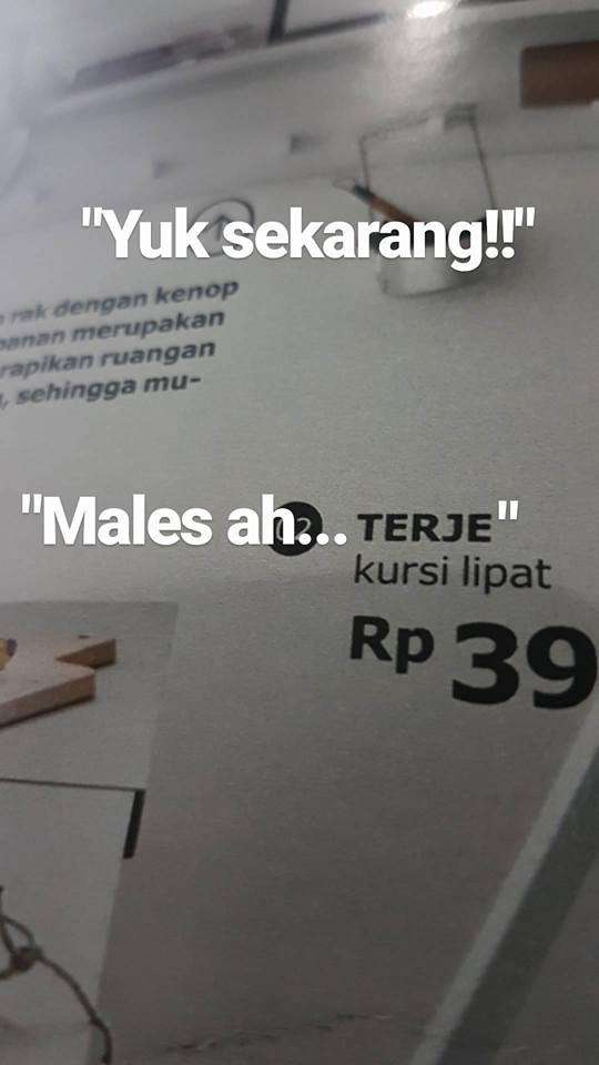Plesetan