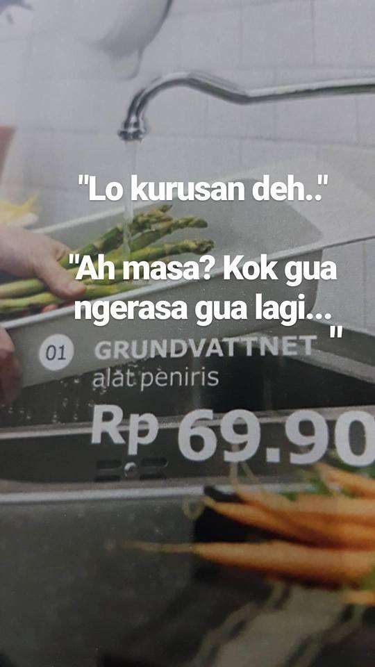 Plesetan