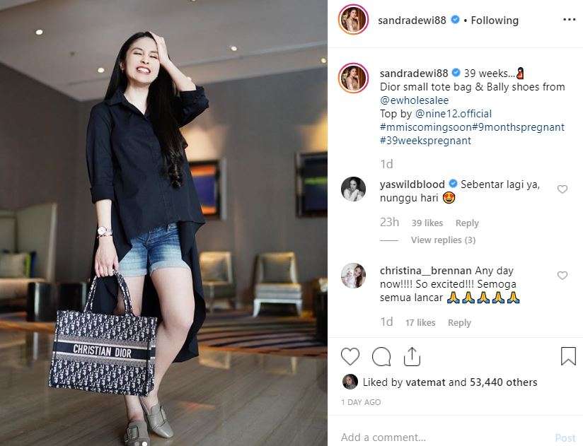 sandra dewi