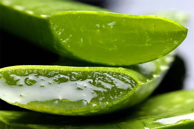 Memutihkan kulit dengan lidah buaya, jeruk lemon, dan madu