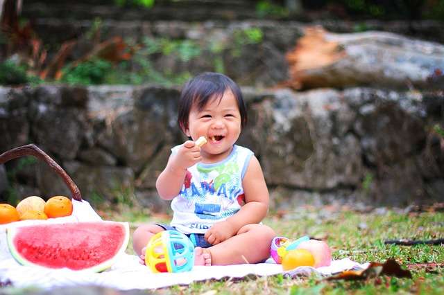 Makanan Sehat