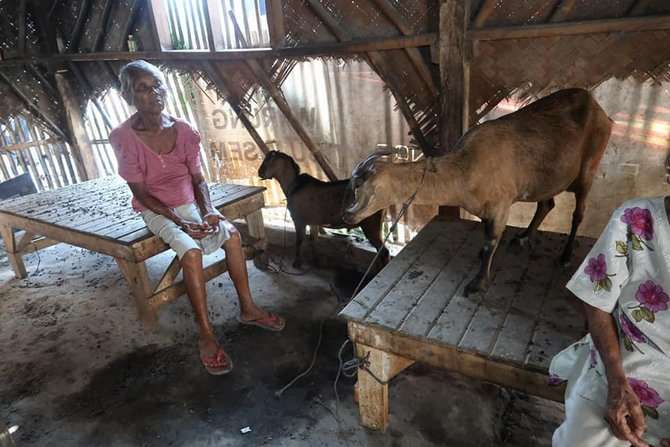 Lansia di Kandang Kambing