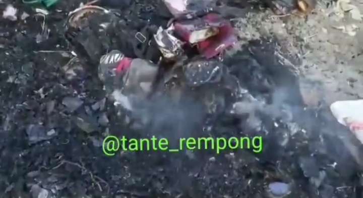 Tas