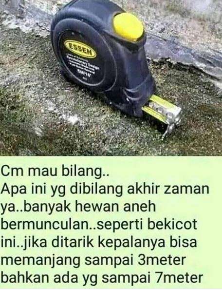 Pertanyaan Warganet