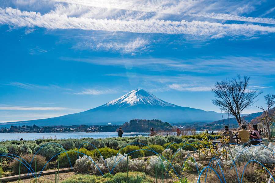 ©Shutterstock