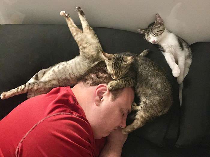 Tidur