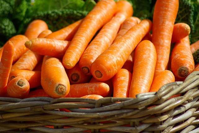 12 Makanan Sehat Penahan Rasa Lapar, Cobain Yuk!