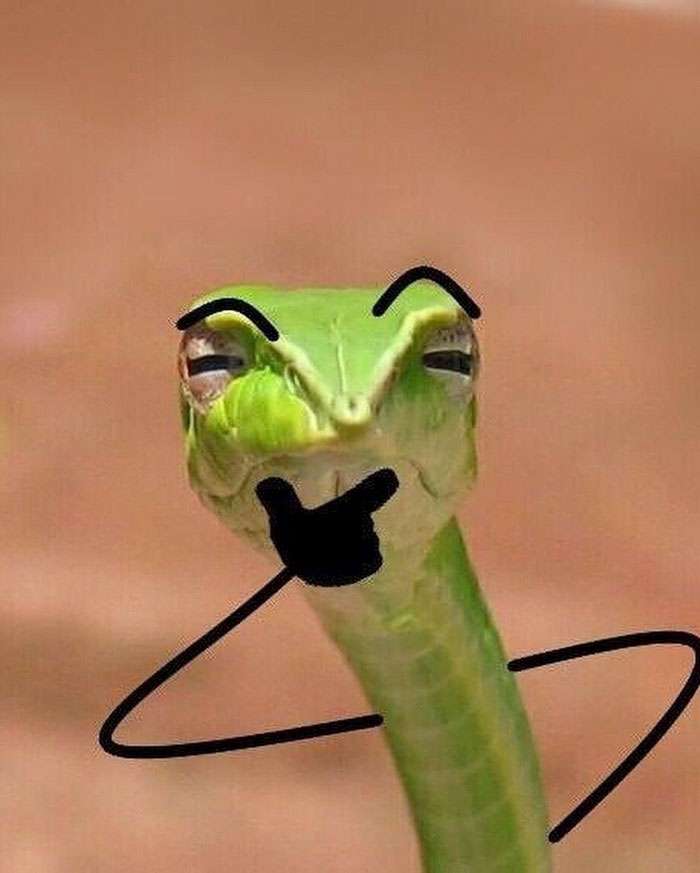 Ular
