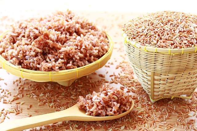 10 Makanan Sehat Pembersih Usus Besar
